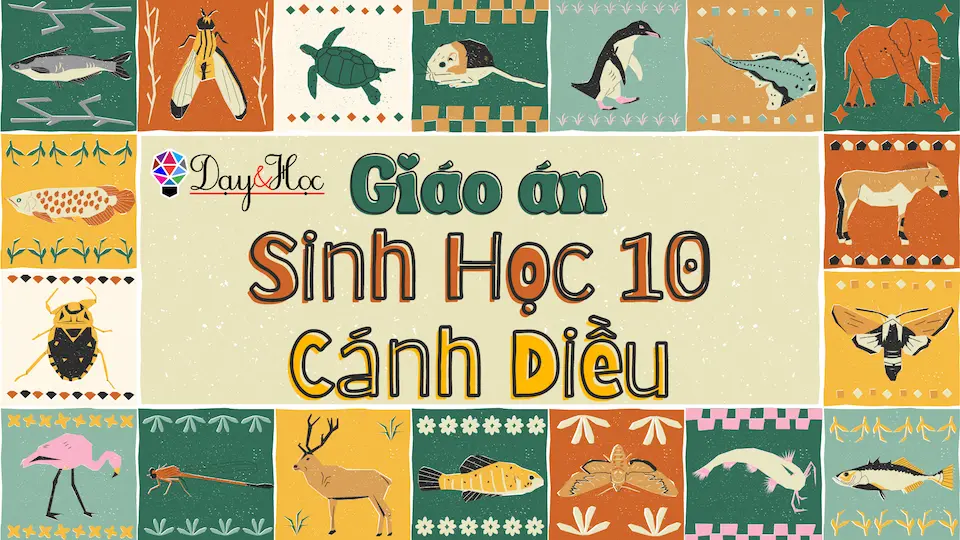 Giáo án Sinh 10 Cánh Diều file word